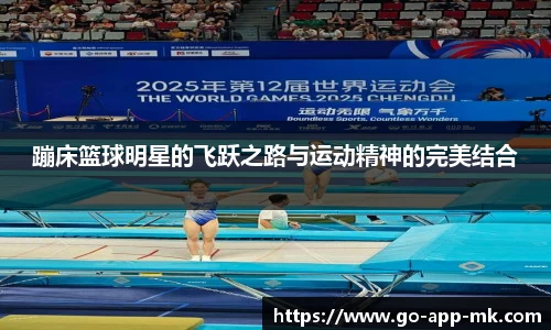 MK体育官网